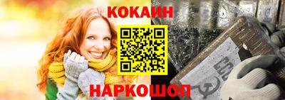 стаф Можга