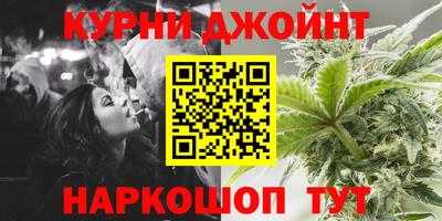 стаф Можга