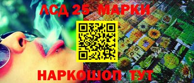 стаф Можга