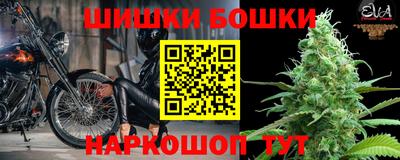 стаф Можга